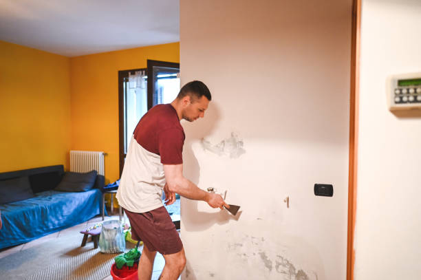 Best Industrial Mold Remediation in Wakefield, KS